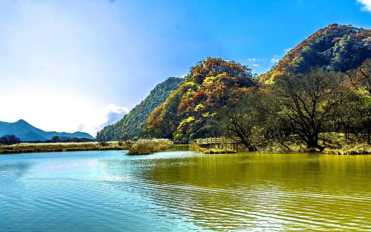独特智慧城市先进